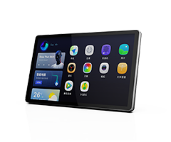 In-vehicle Infotainment